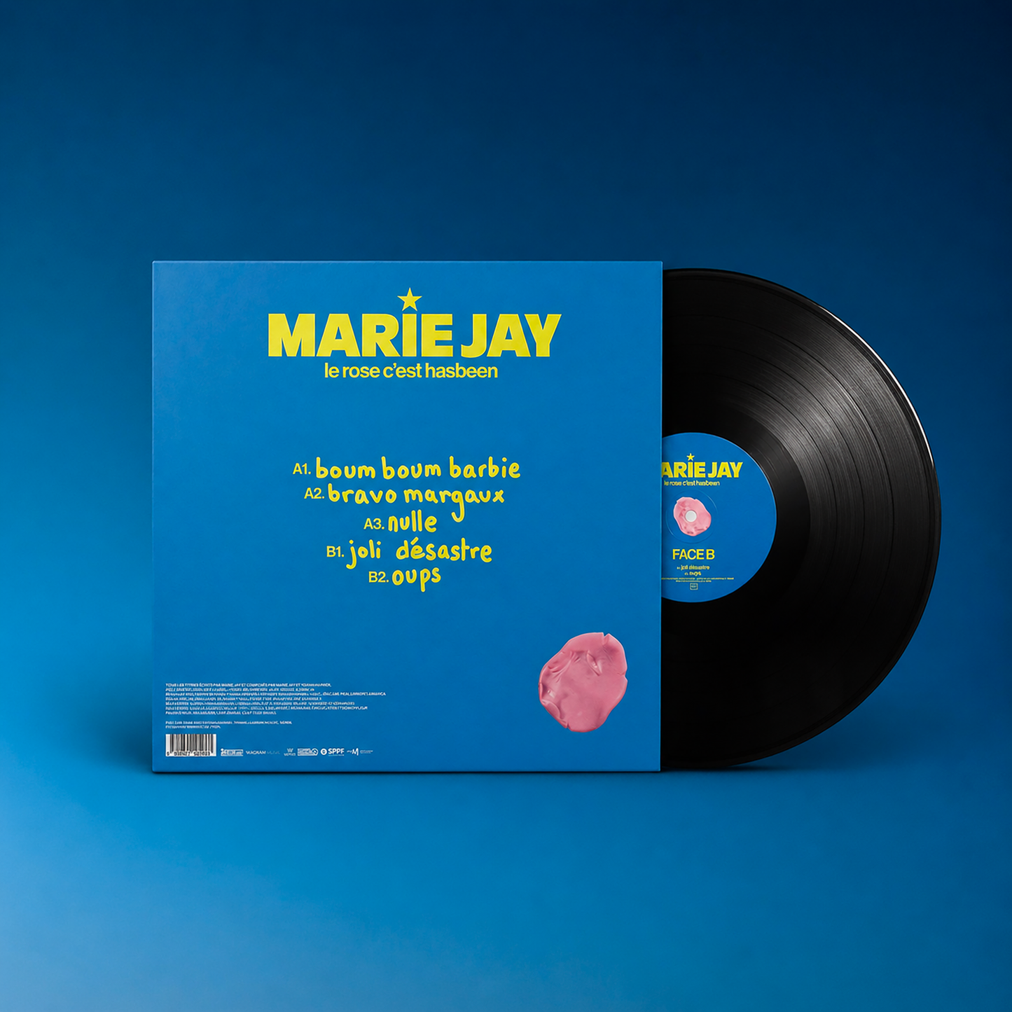 le rose c'est hasbeen - le VINYLE !