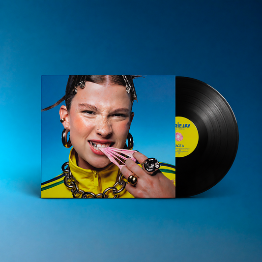 le rose c'est hasbeen - le VINYLE !